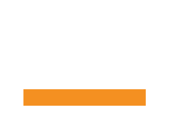 FLEX LAB logo